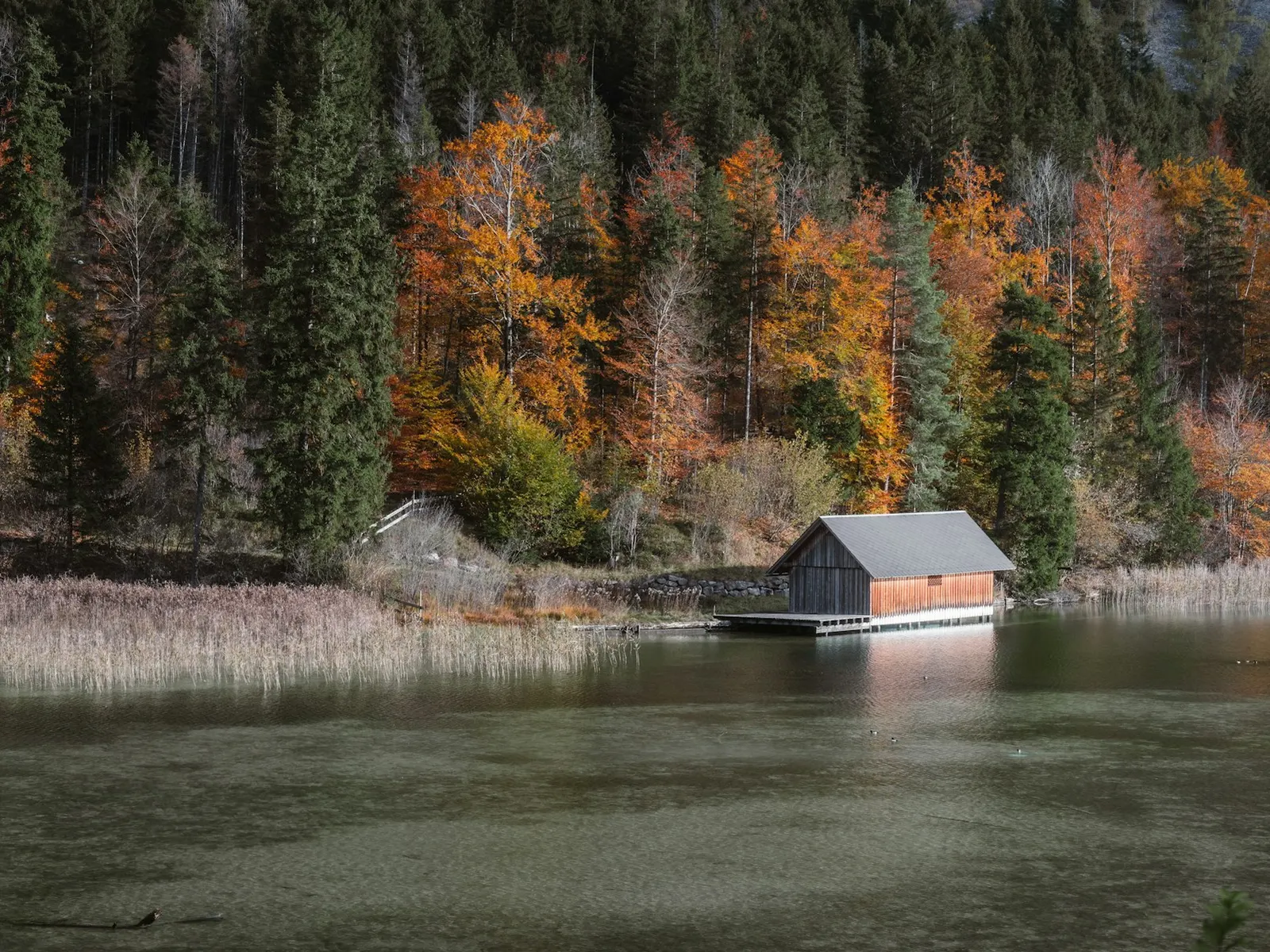 A timber boathouse shown as representative waterfront-envelope context