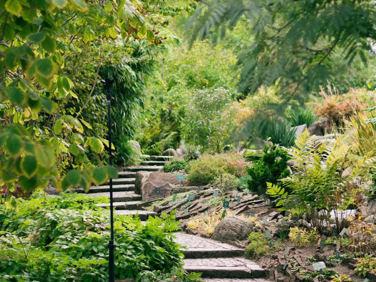 A stone garden route shown as representative landscape and hardscape context