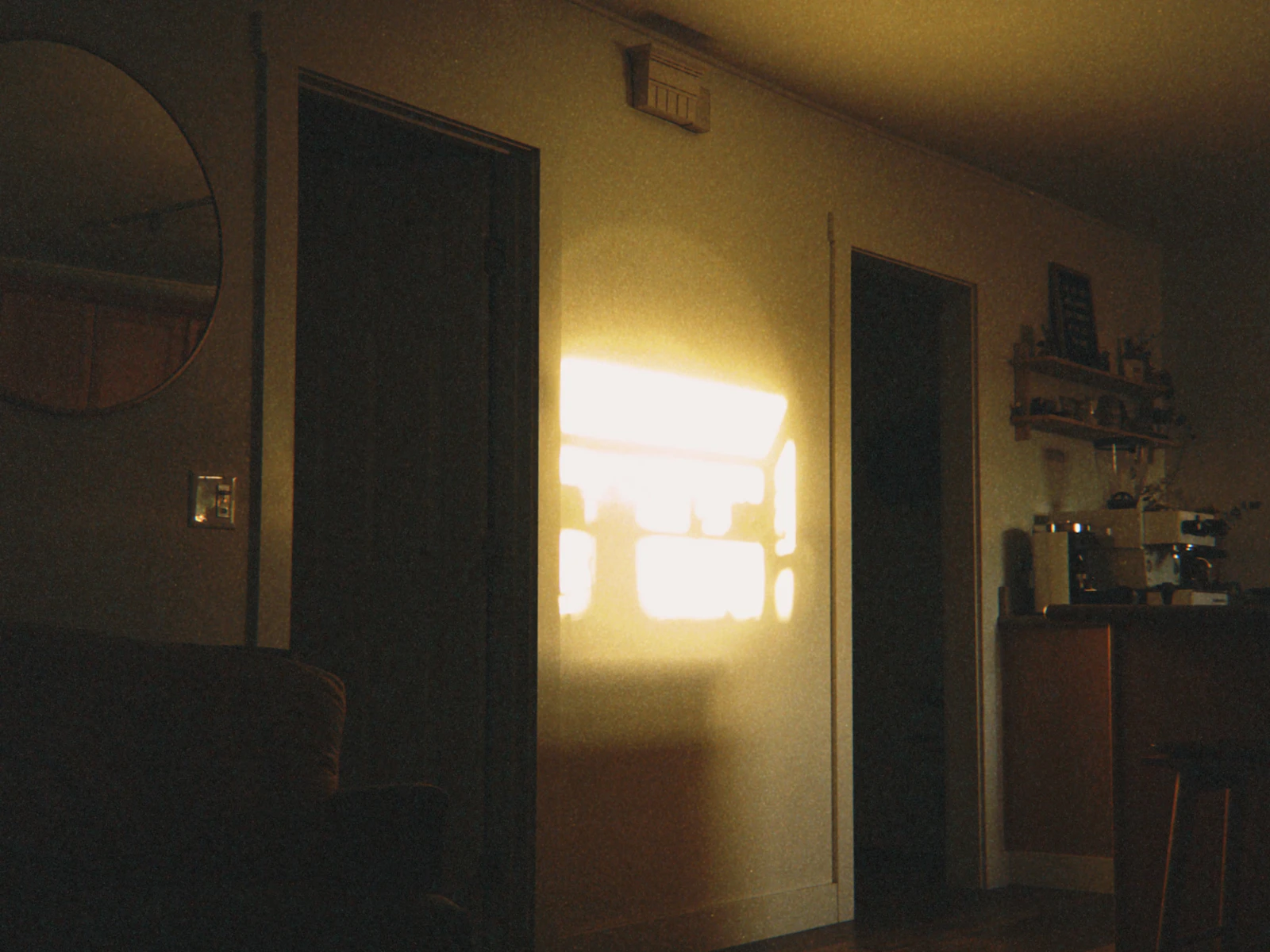 A darker timber floor in warm natural light shown as a representative finish direction
