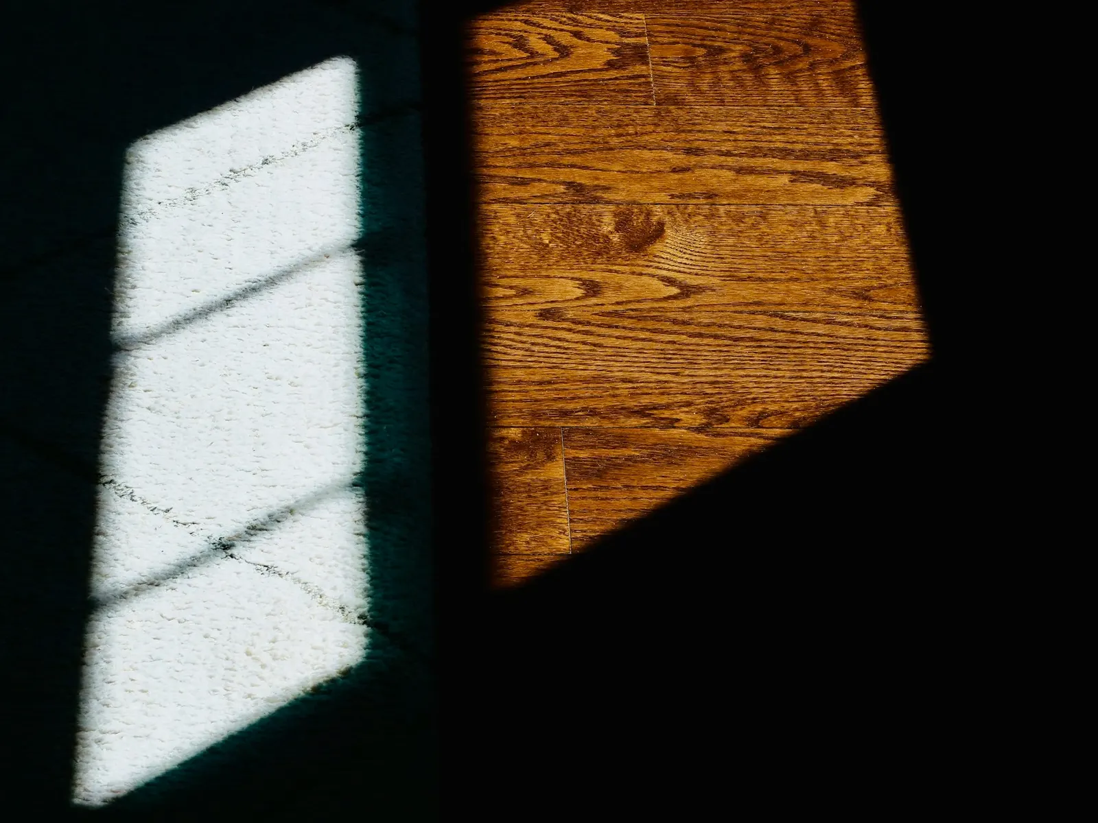 Sunlight across timber flooring shown as a representative light-wood direction