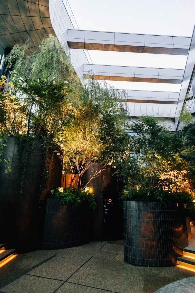 Architectural courtyard and integrated lighting shown as a representative outdoor setting
